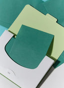 Artemisia Oil Control Paper (70ea)
