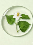 Heartleaf Cica Chimtok™ Serum (30ml)