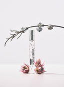 Youth Wave ; Busan EDT (10ml)