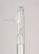 Peptide Skin Repair Ampoule (30ml)