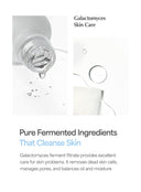 Galac Niacin Essence Mask (30g/10sheets)