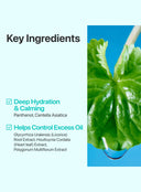 No.1 Pure-Full Calming Herb Toner (300ml)