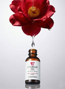 Camellia TXA Chimtok™ Serum (30ml)