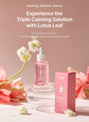 Lotus Leaf Calming Ampoule (50ml)