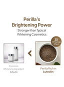 Perilla Brightening Cream Extra Large Trio Set (80g*3ea)