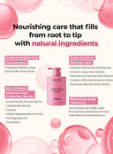 JULYME Perfume Shampoo & Treatment Hair Care Set – Full Bloom, Woody & Musk (500ml *2ea)