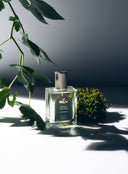 Hidden Treasure ; Sancheong EDT (50ml)