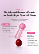 JULYME Glossy Hair Care Trio (Shampoo, Treatment, Hair Oil)