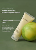 Little Drops Calming Days Ampoule Cream (100ml)