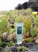 Cactus Body Lotion (200ml)