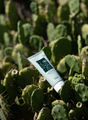 Cactus Body Lotion (200ml)