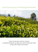 Green Tea & Enzyme Powder Wash Duo Set (110g*2ea)