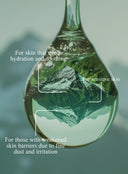 Centella Asiatica(CICA) Madecassoside Hyaluronic Acid Serum 30ml (CH)