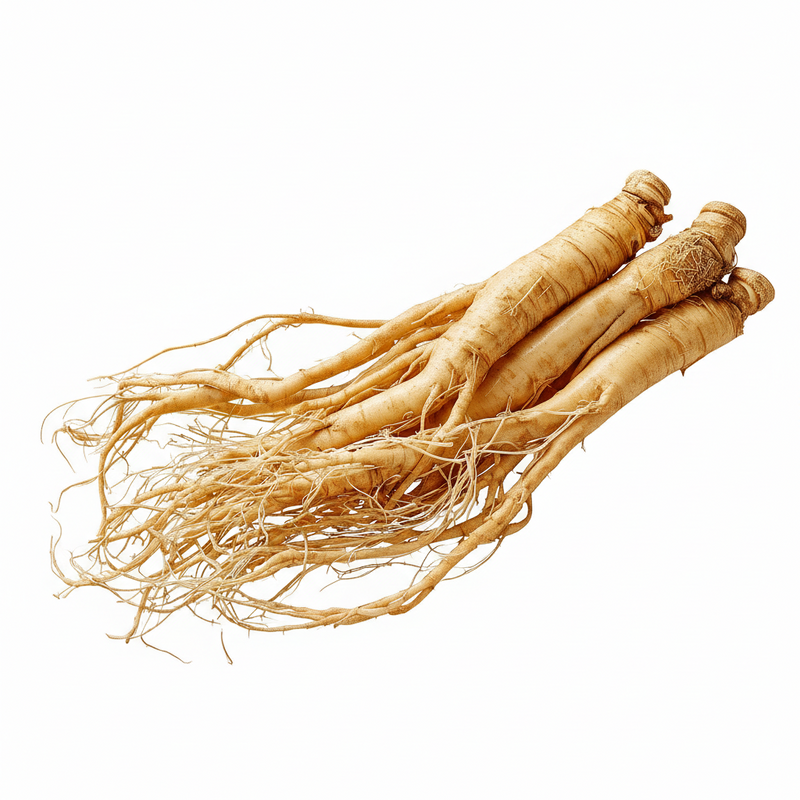 Ginseng