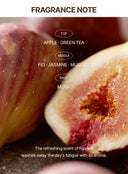 fig-enzyme-powder-cleanser-50g