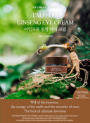 Ginseng Eye Cream Duo Set (30g*2ea)