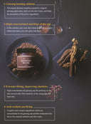 ginseng-mask-120g