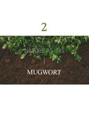 mugwort-mask-110g