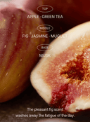 fig-foam-cleanser-150ml