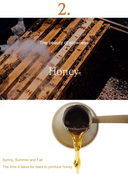 Honey Glow Cream Trio Set (50g*3ea)