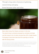 Honey Glow Cream Duo Set (50g*2ea)
