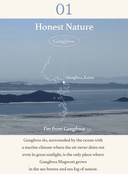 mugwort-sheet-mask-23ml-5ea