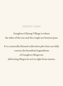 mugwort-sheet-mask-23ml-5ea