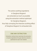 mugwort-sheet-mask-23ml-5ea