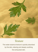 mugwort-sheet-mask-23ml-5ea