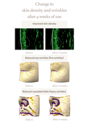 mushroom-collagen-ampoule-30ml