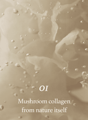 Mushroom Collagen Ampoule Duo Set (30ml*2ea)
