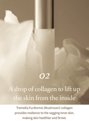 Mushroom Collagen Ampoule Duo Set (30ml*2ea)