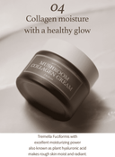 mushroom-collagen-cream-50ml