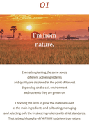 rice-sunscreen-50-ml