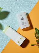 Matte Sun Stick : Mugwort + Camelia Duo Set (18g*2ea)