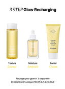 Propolis Energy Boosting Essence Trio Set (100ml*3ea)