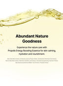 Propolis Energy Boosting Essence Trio Set (100ml*3ea)