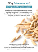 Galacto Pore Serum (40ml)