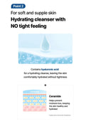 PH Sensitive Gel Foam (150ml)