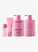 JULYME Total Repair Hair Care Set